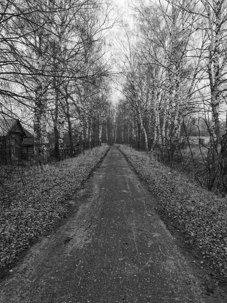 Photograph by Оксана Шахматова