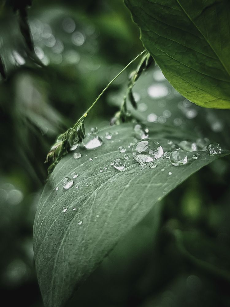 Photograph by Екатерина