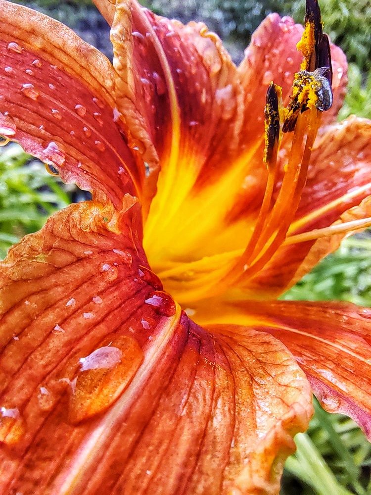 Photograph by Светлана