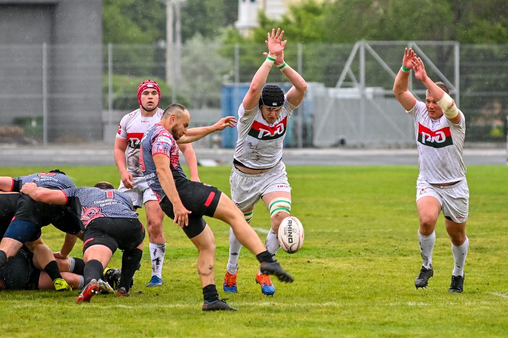 Photograph by Михаил Петрик