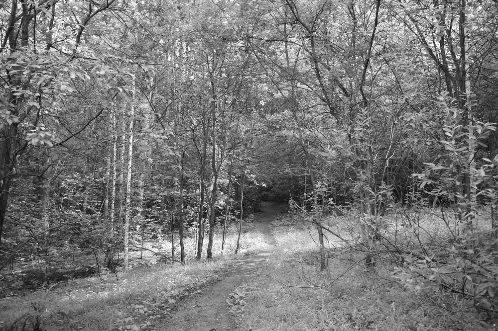 Photograph by Евгений Вяткин