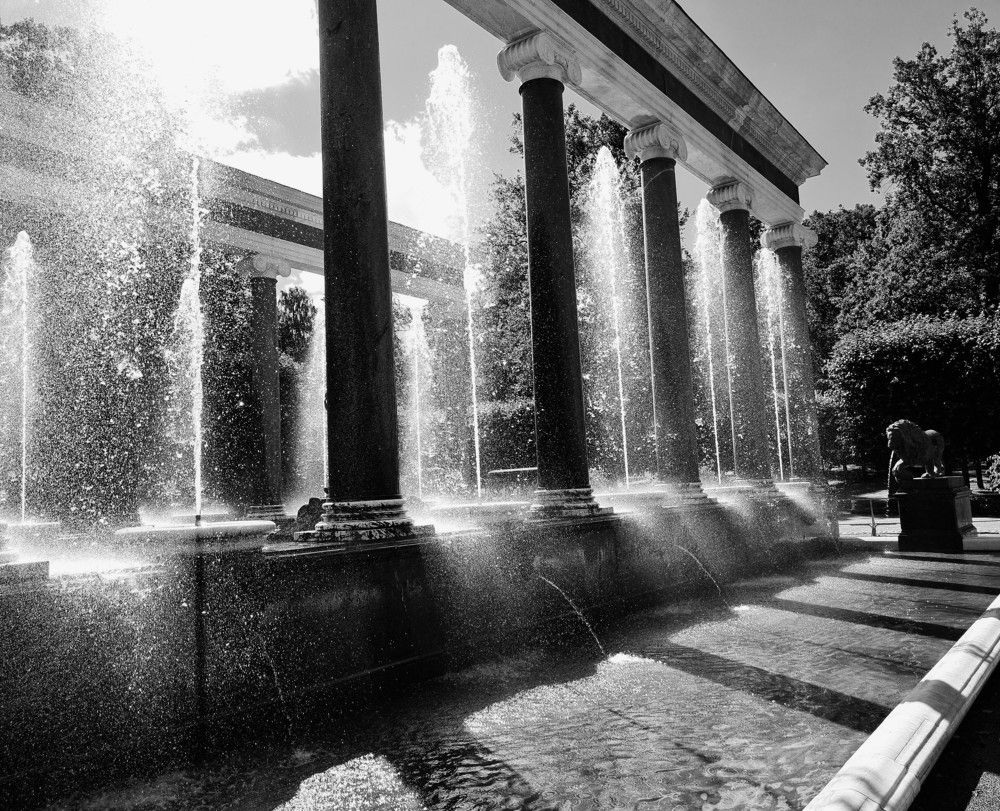 Photograph by Елена Кольцина