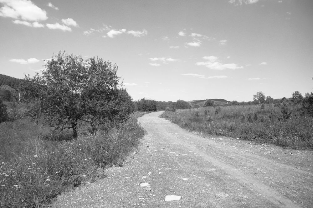 Photograph by Евгений Вяткин