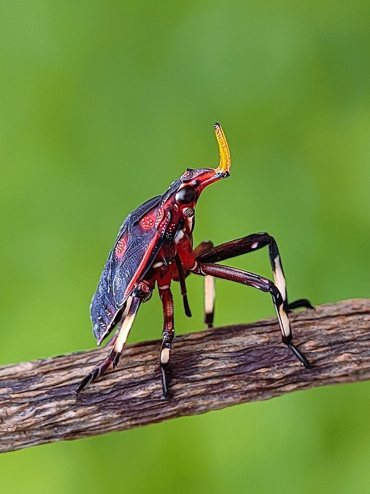 Фотография автора Ramprasad Das