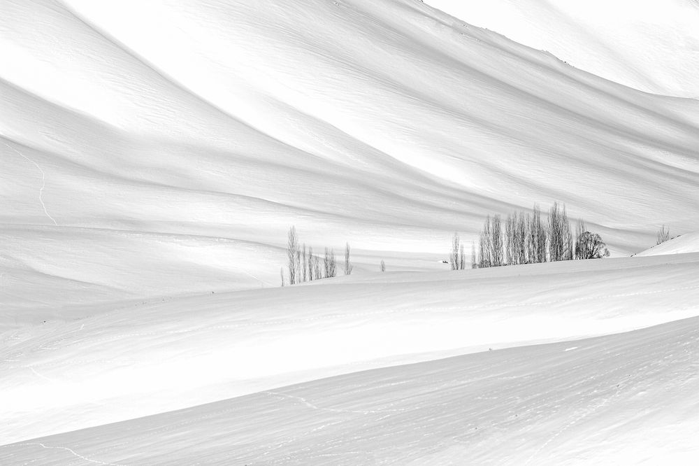 Photograph by behzad homayouninejad