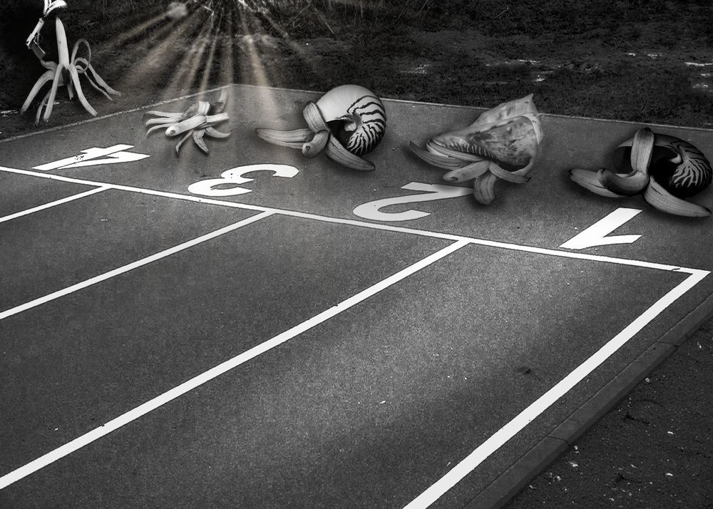 Банановая галерея.