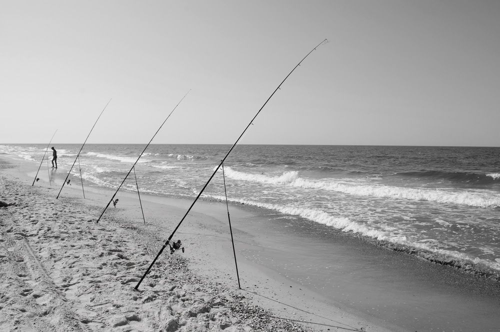 Photograph by Инна Сечко