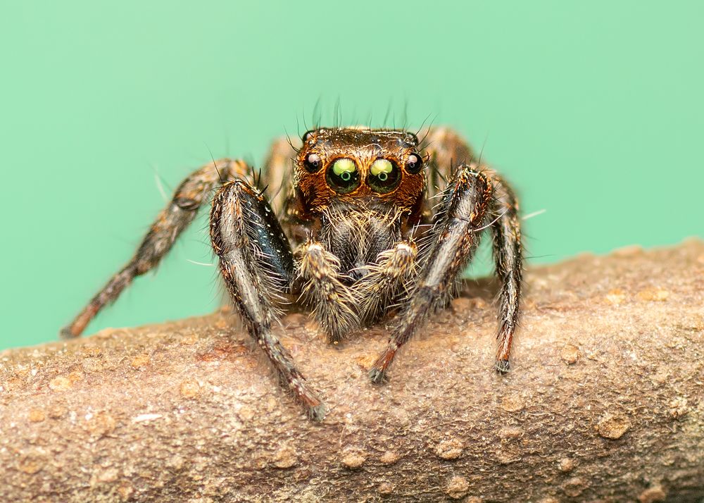 Photograph by Pinak Paul