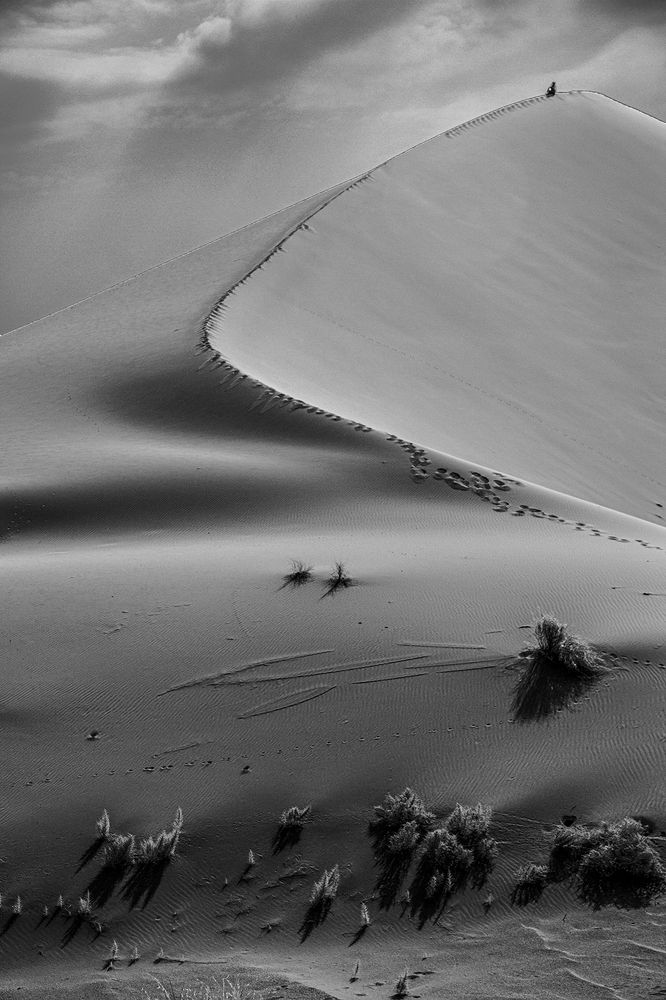 Photograph by behzad homayouninejad