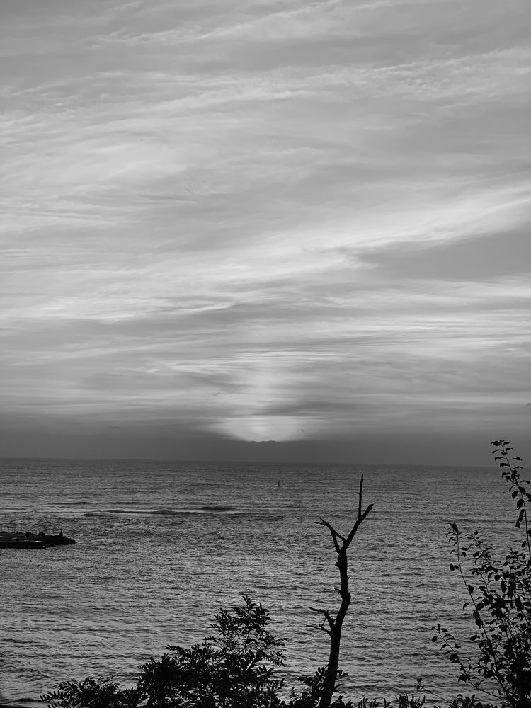 Photograph by T.Ю. Гринько