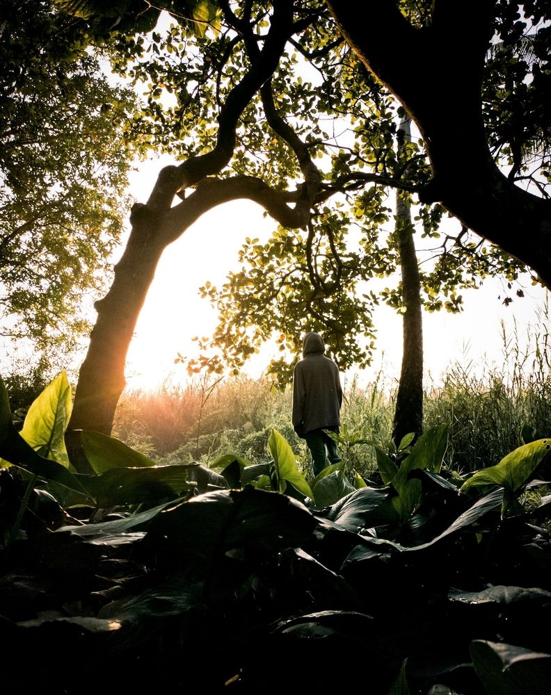 We all were born to feel the Green