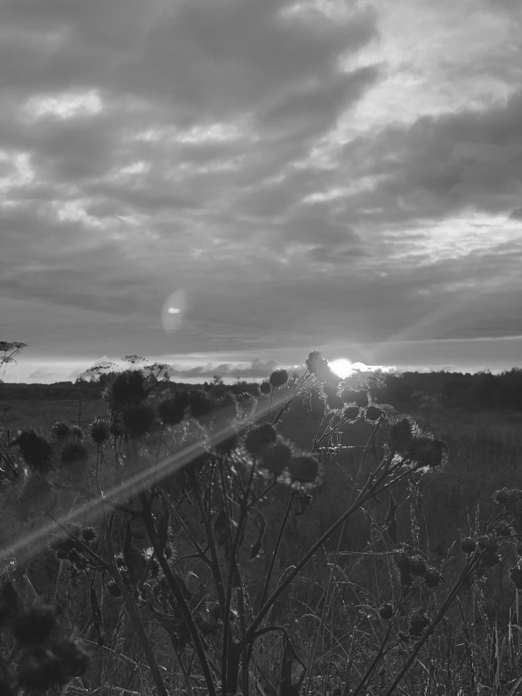 Photograph by T.Ю. Гринько