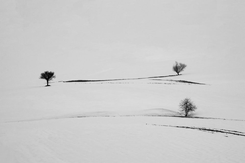 Фотография автора Alipour mohammad