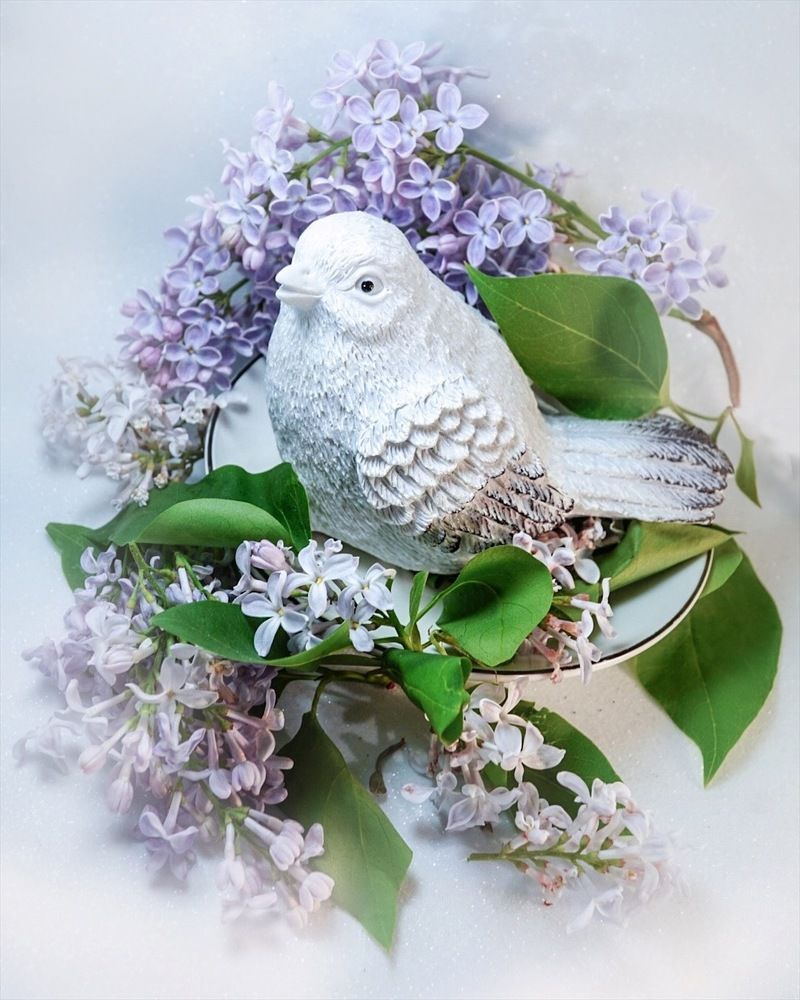 Photograph by Татьяна Гринько