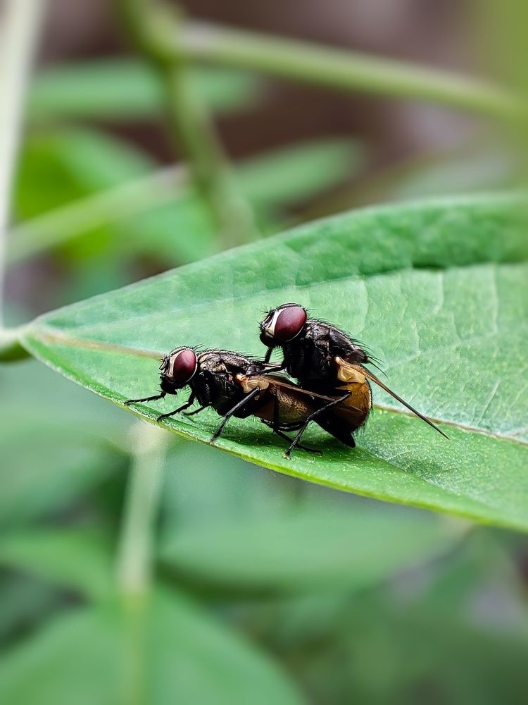 Photograph by Kuldeep Parmar