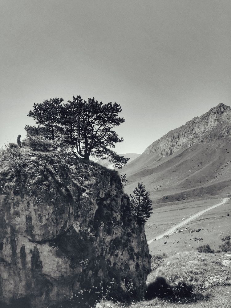 Photograph by Людмила Евстратова