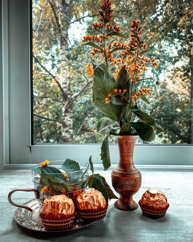 Photograph by T.Ю. Гринько