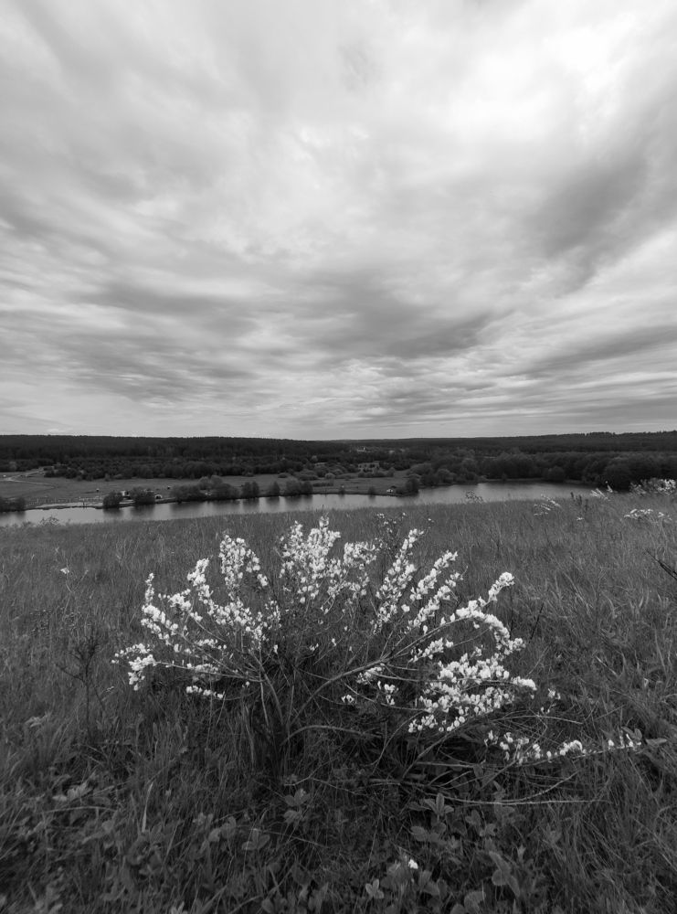 Photograph by Светлана Холодова