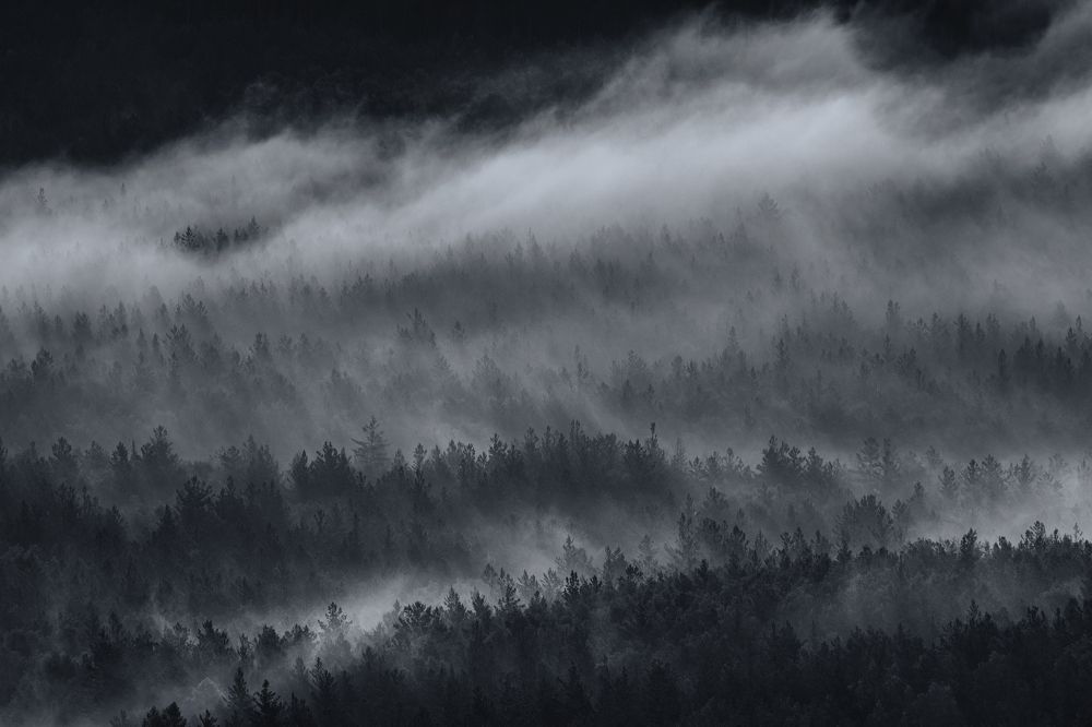 Photograph by Евгений Гецев