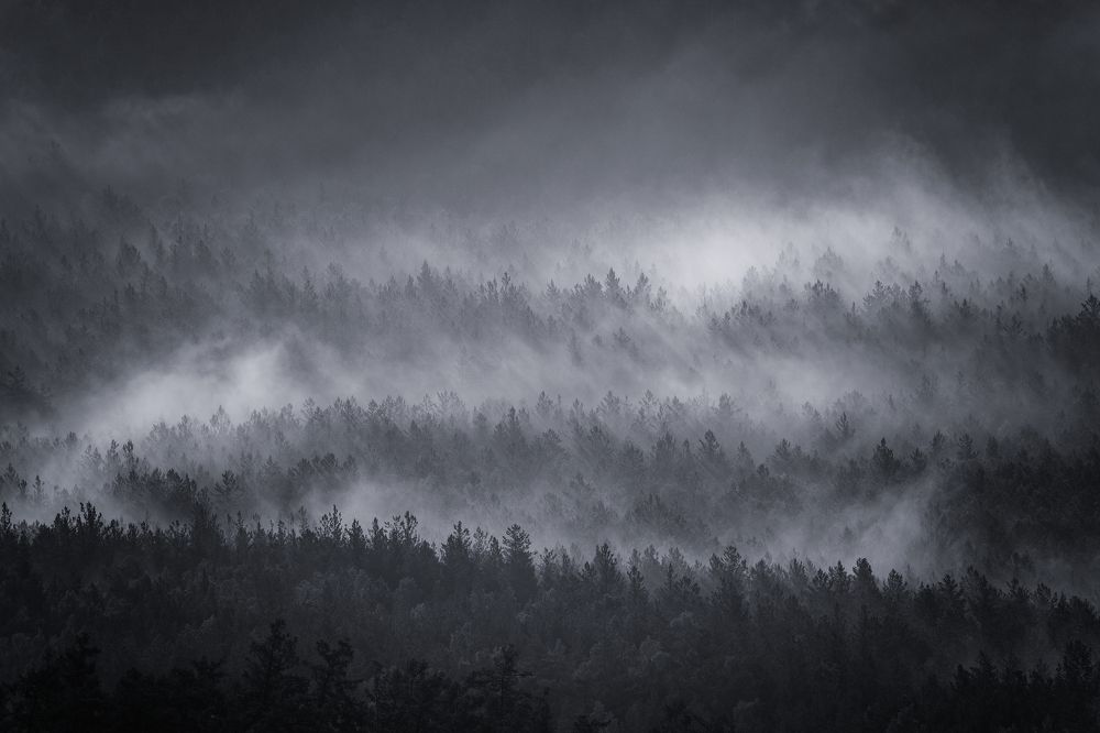 Photograph by Евгений Гецев