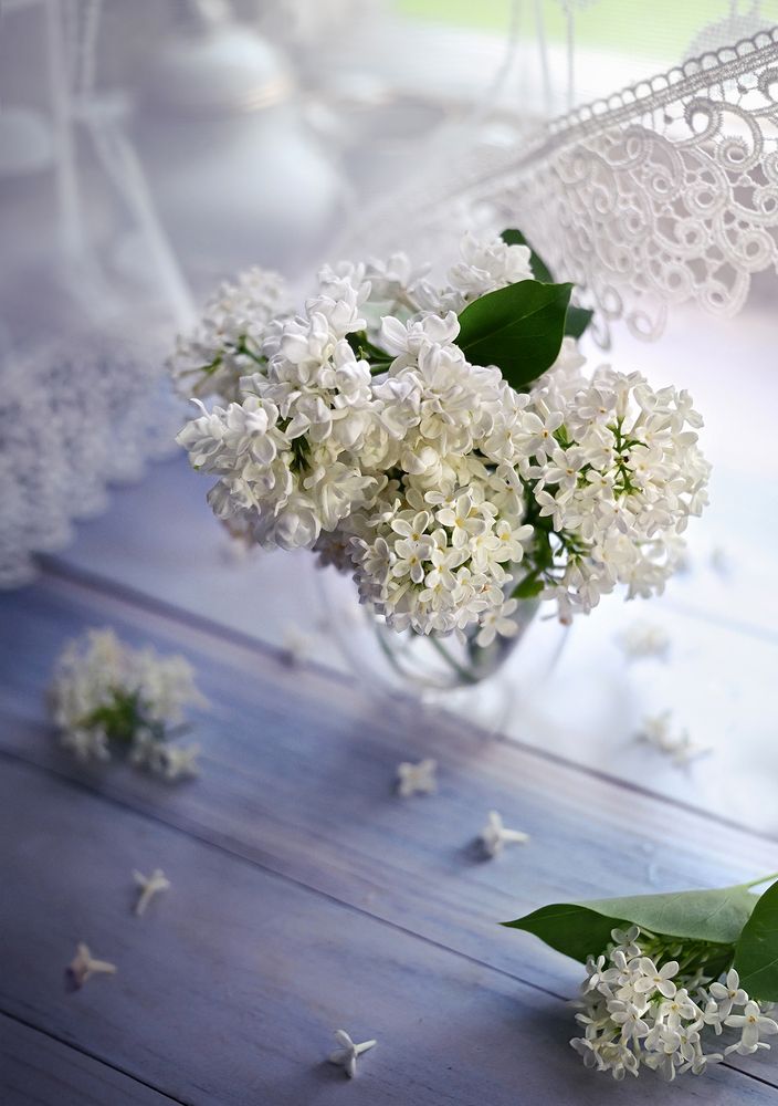 Photograph by Dana S.