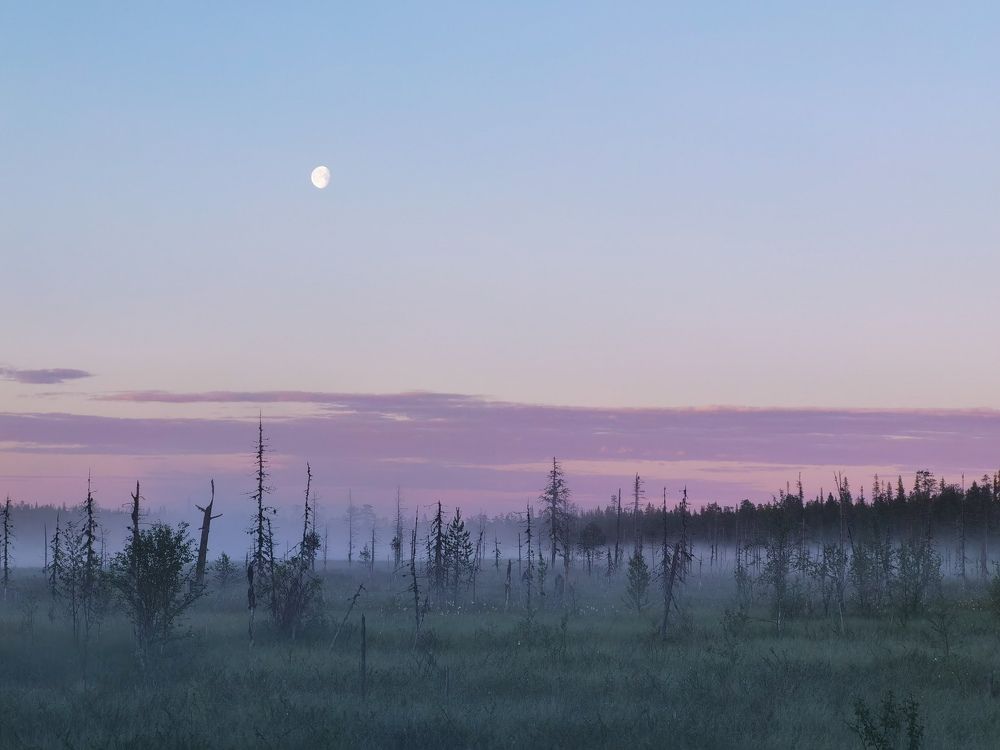 Photograph by Дарья