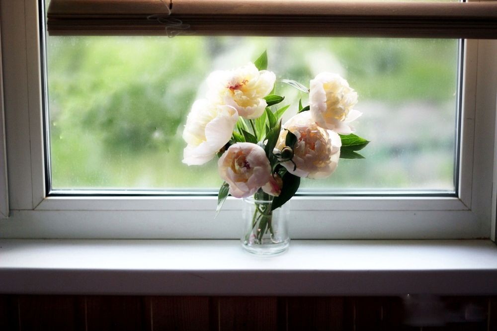 Photograph by Olivka Ulyanova