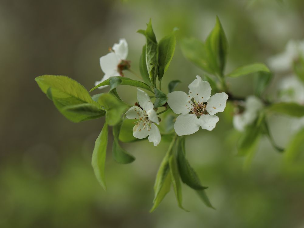 Photograph by Серегина Ирина