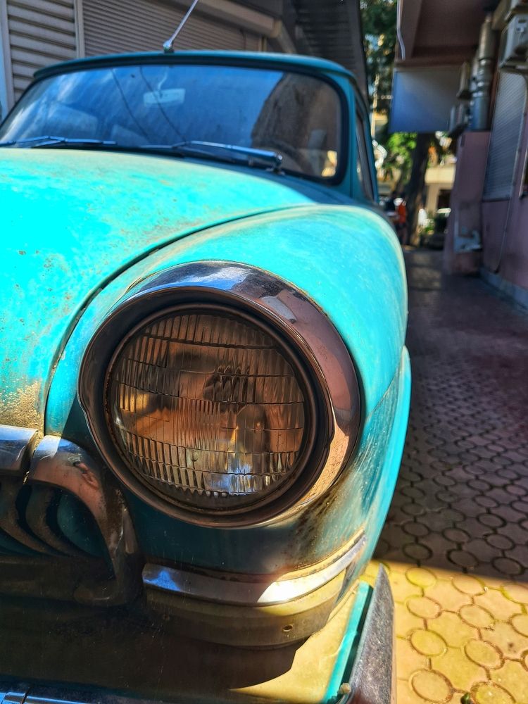 Photograph by Александра Мозаляускас