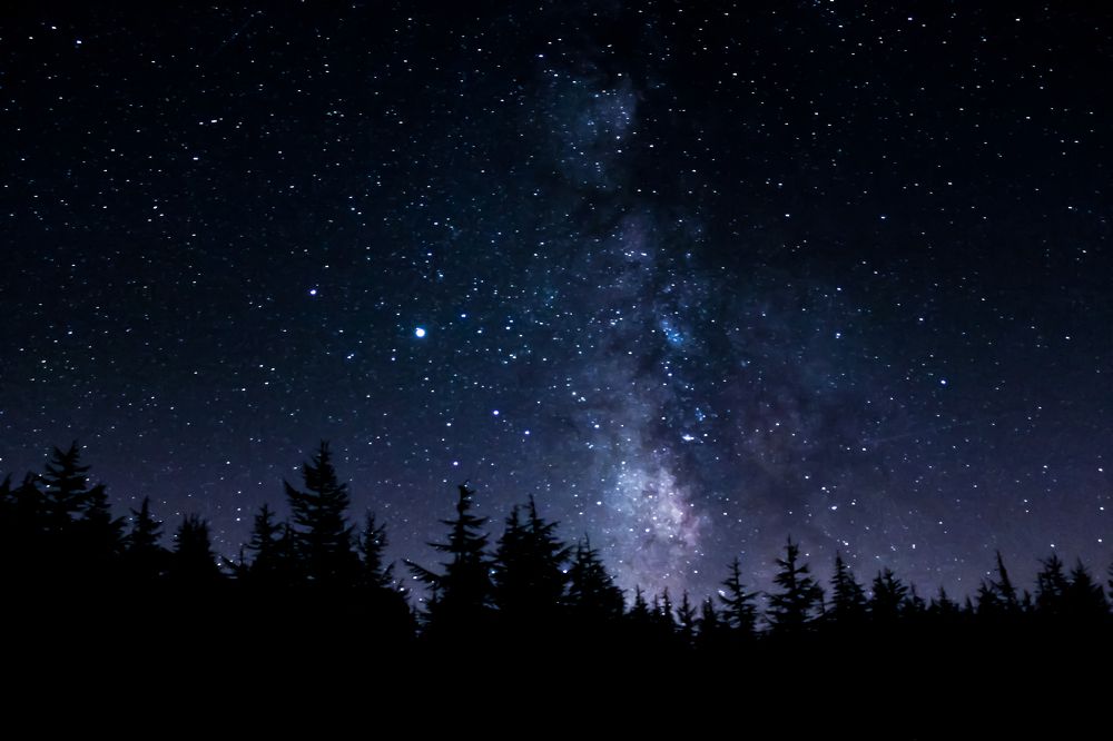 Photograph by Teresa Molinaro