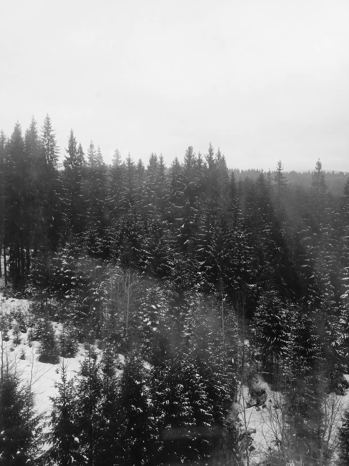 Photo #7813095
