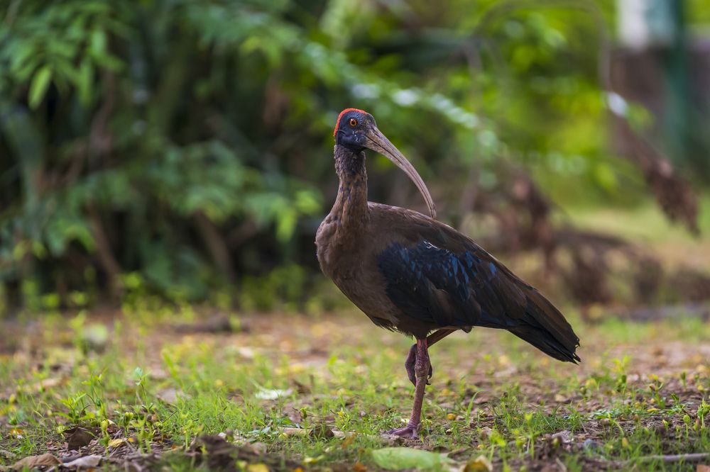 Photograph by TARUN KUMAR