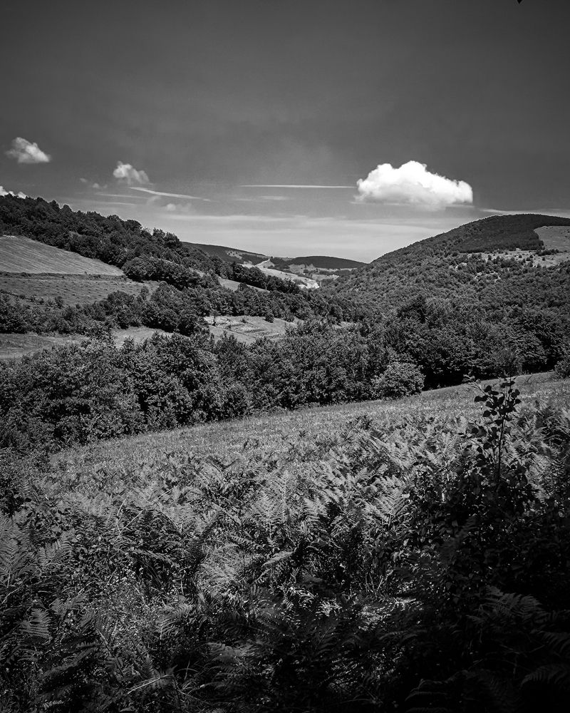 Photograph by mustafa saadoon