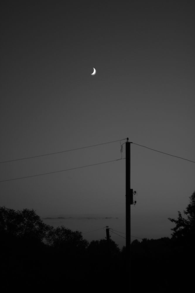 Photograph by Татьяна Аршинова