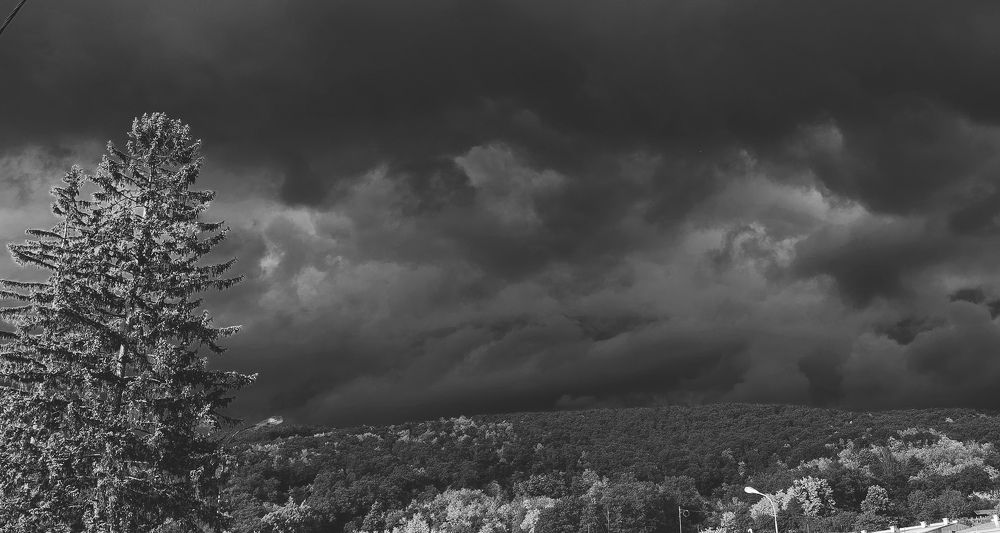 Фотография автора Petar Metić