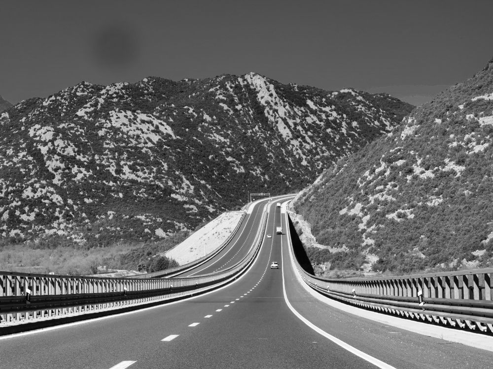 Фотография автора Petar Metić