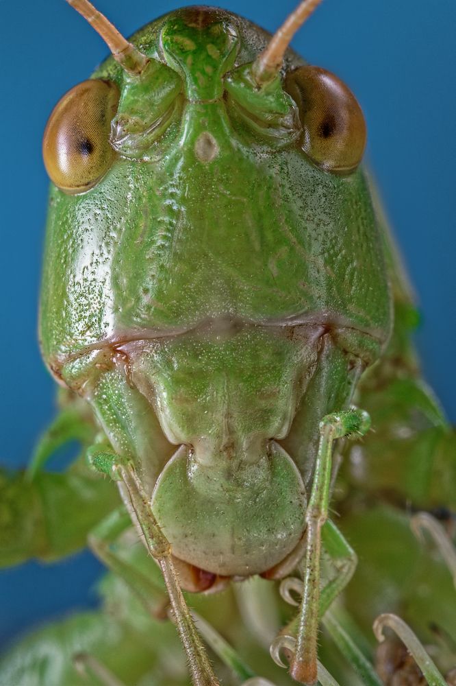 Photograph by Сергей Алтуфьев