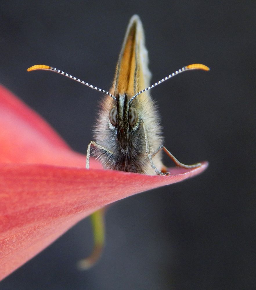 Photograph by Наталья Соколова