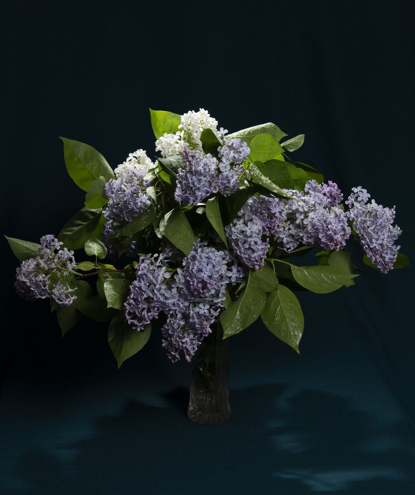 Photograph by виктор Неонилин