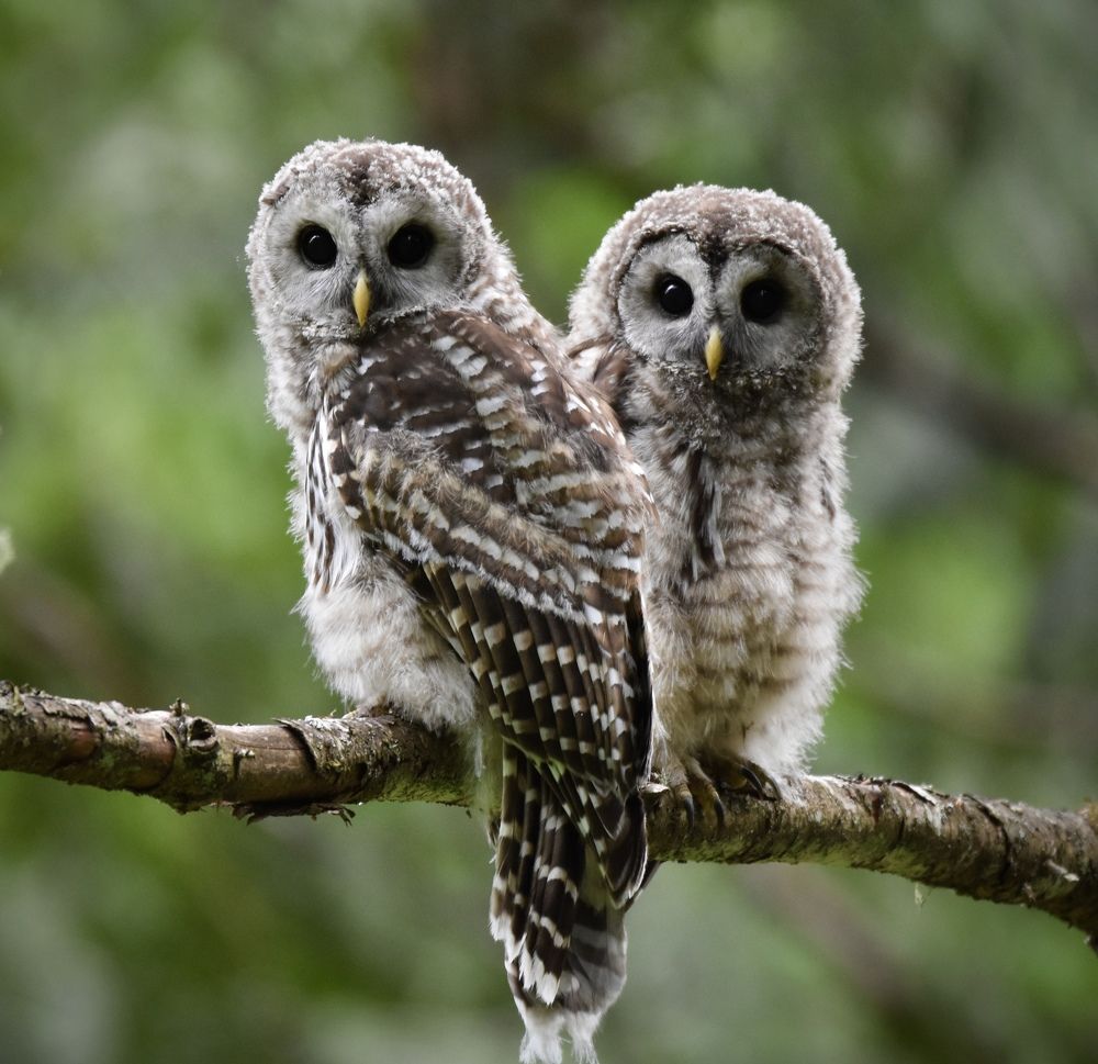 Photograph by Brittni Panter