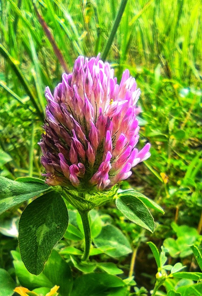 Photograph by Mohammad Ali Ataei Daryaei