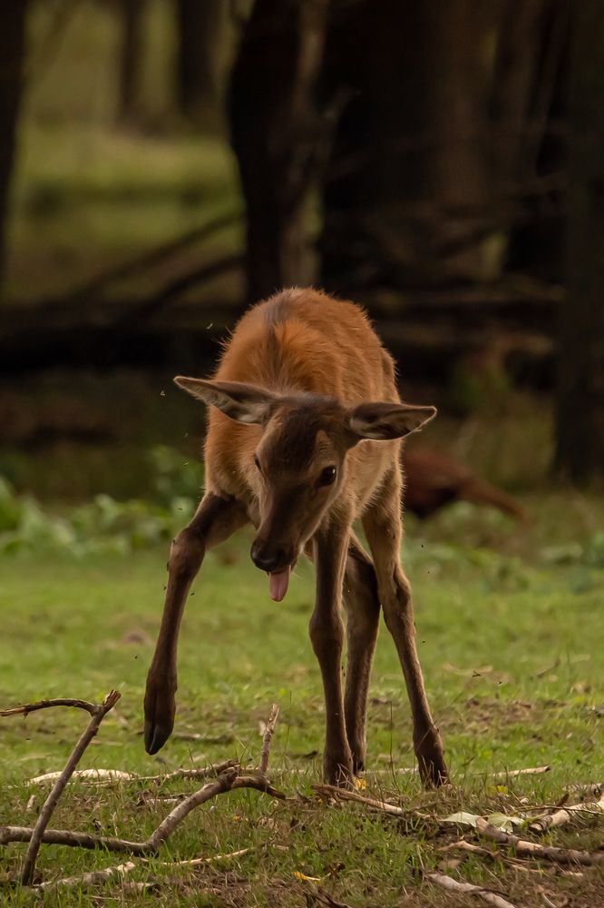 Photograph by Andrea Barlotti