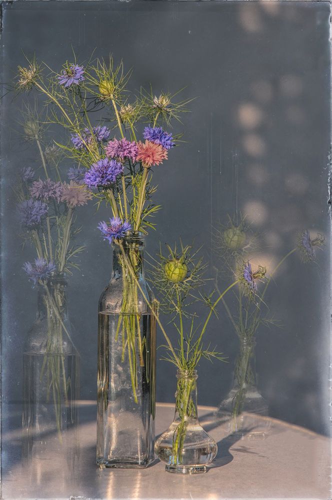 Photograph by Лидия