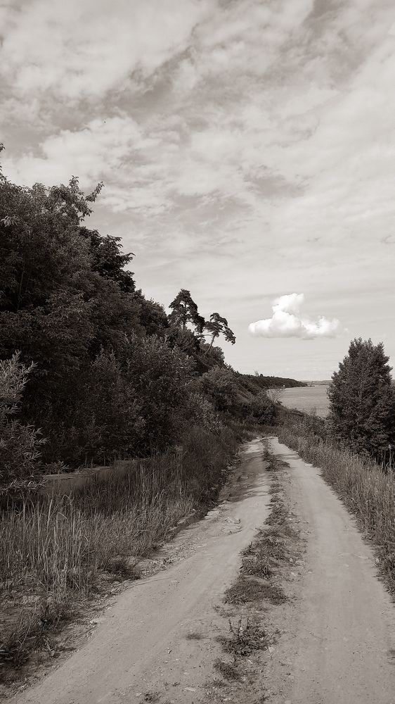 Photograph by Альбина Муртазина