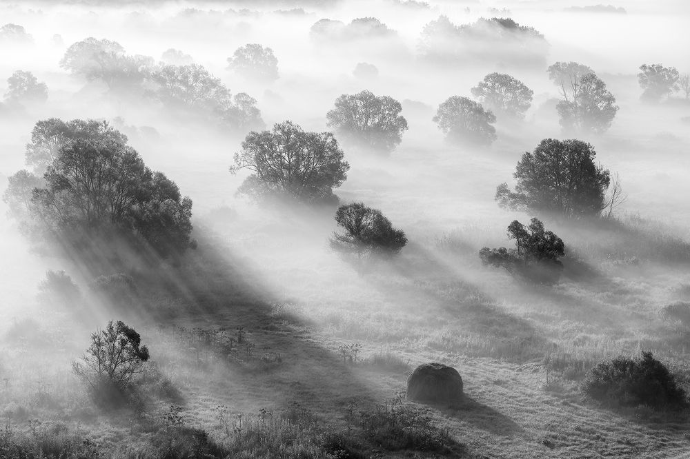 Photograph by Юрий Сорокин