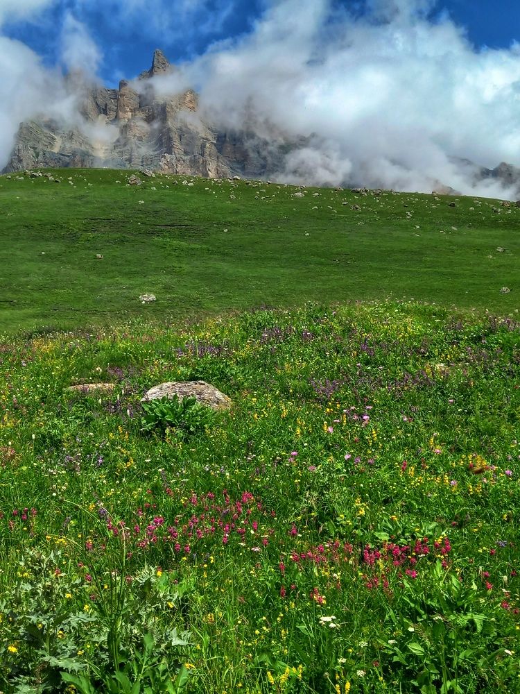 Photograph by Наталья Покрепина