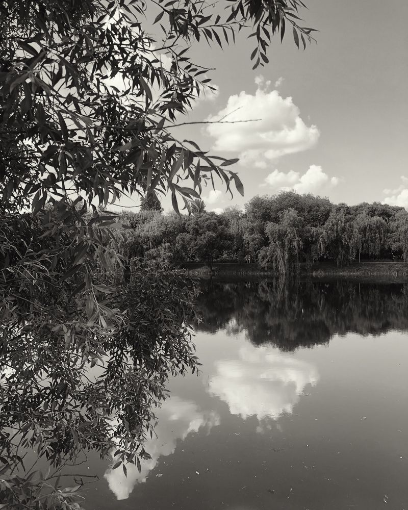 Photograph by Марина