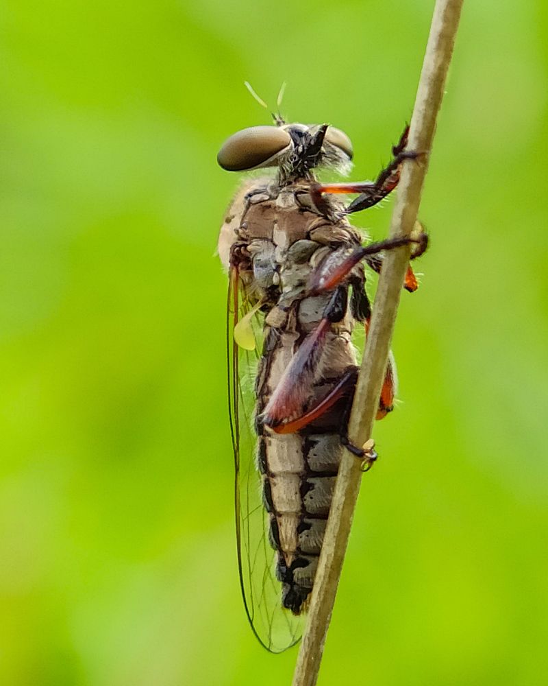 Photograph by Balesh kadakali
