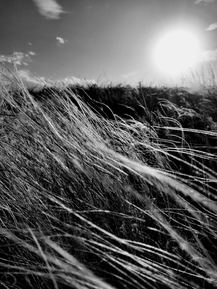 Photograph by Юлия Измерова