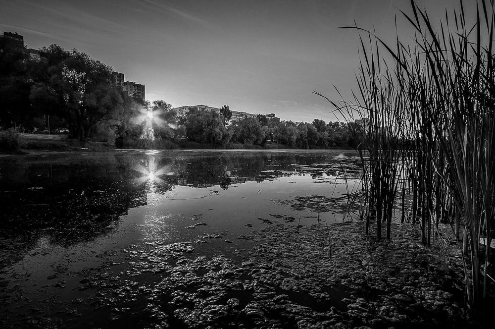 Photograph by Юрий Яковлевич